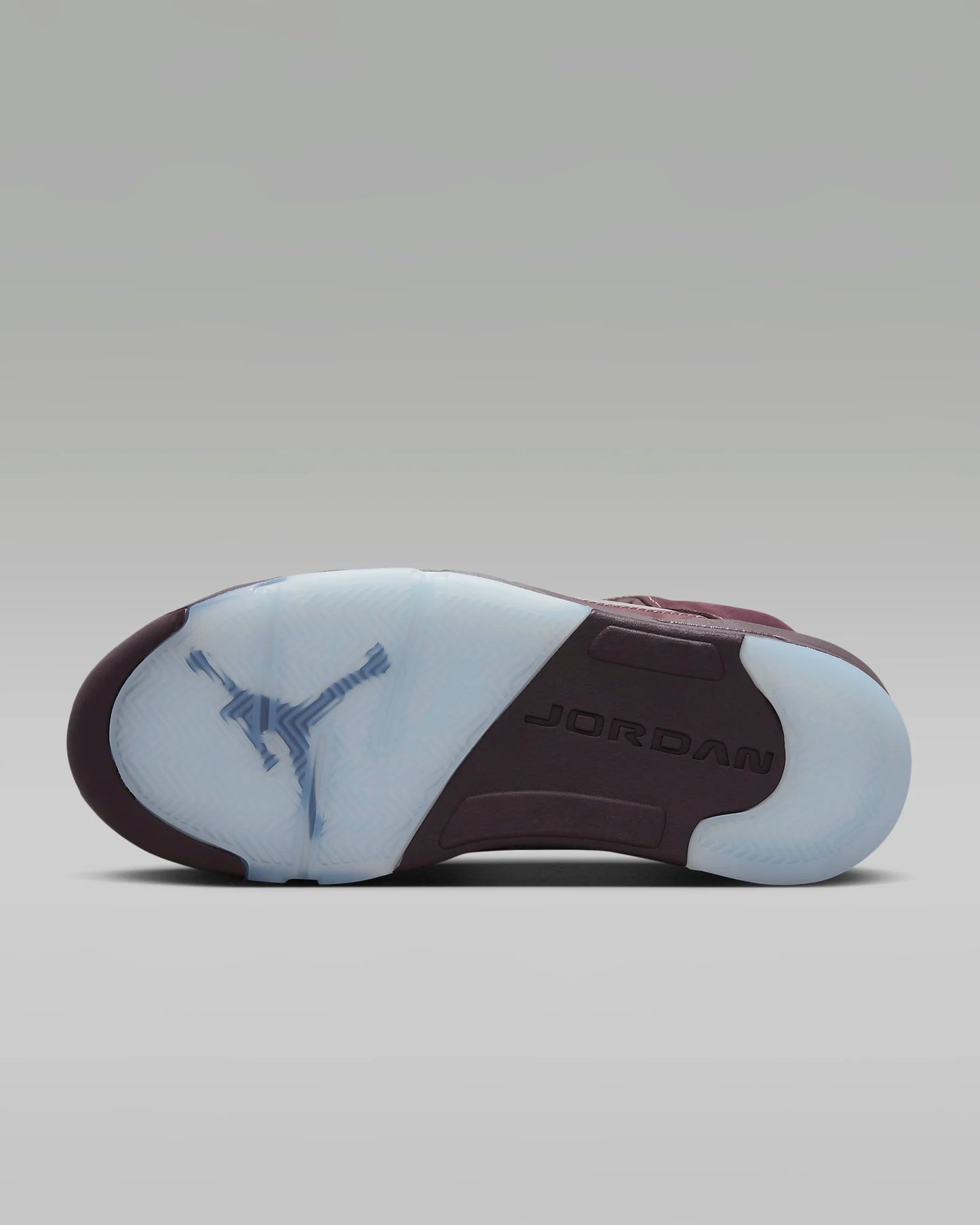 Air Jordan 5 Retro SE