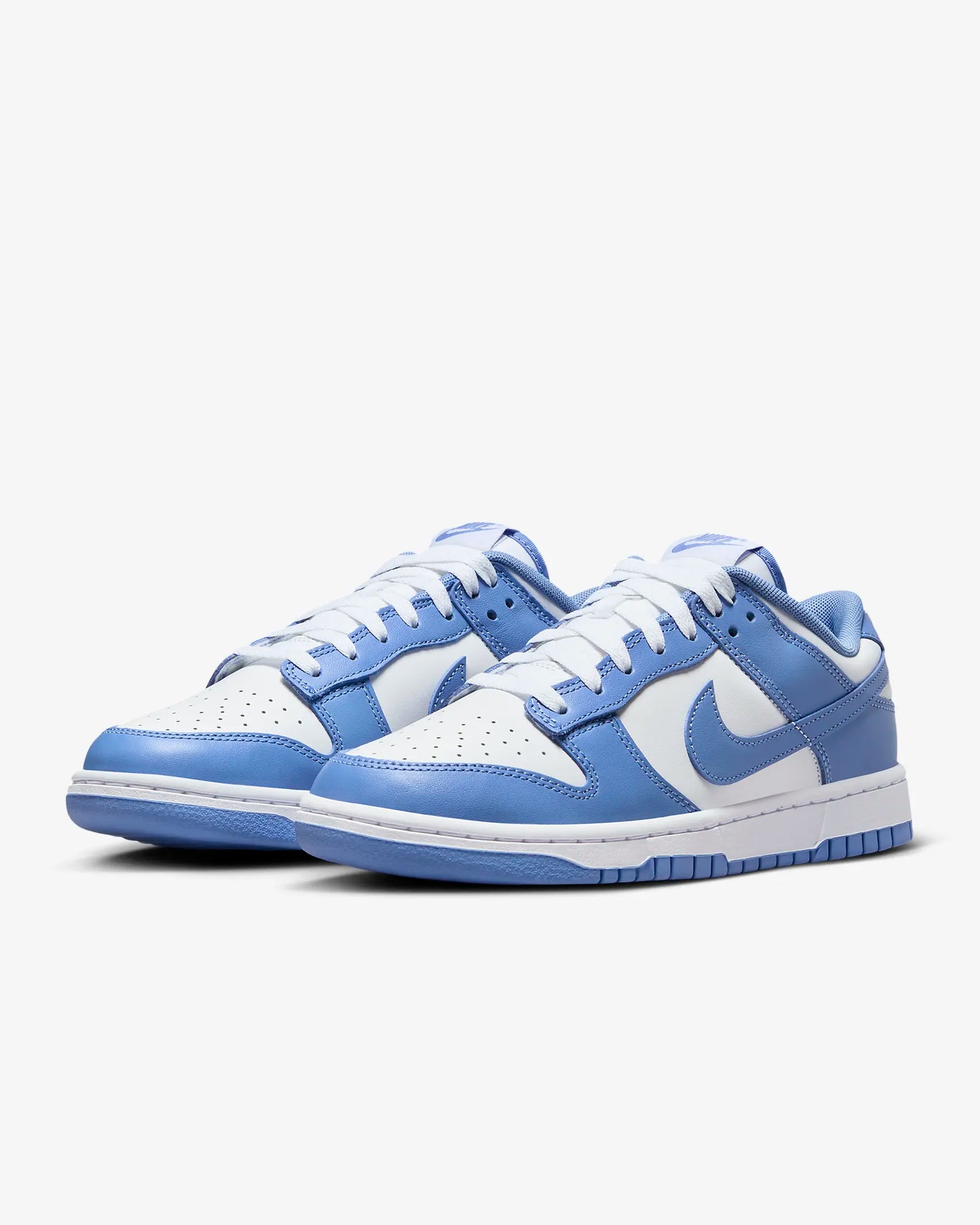 Nike Dunk Low Retro Blue
