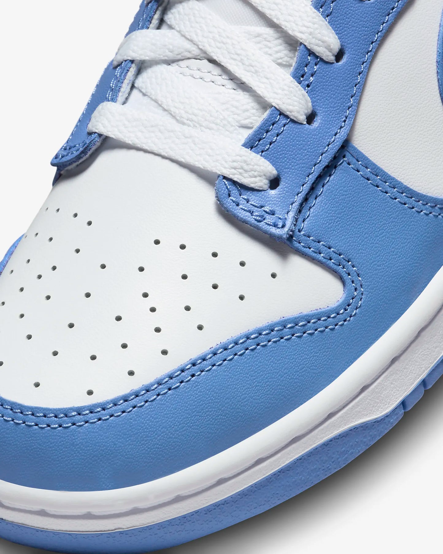 Nike Dunk Low Retro Blue