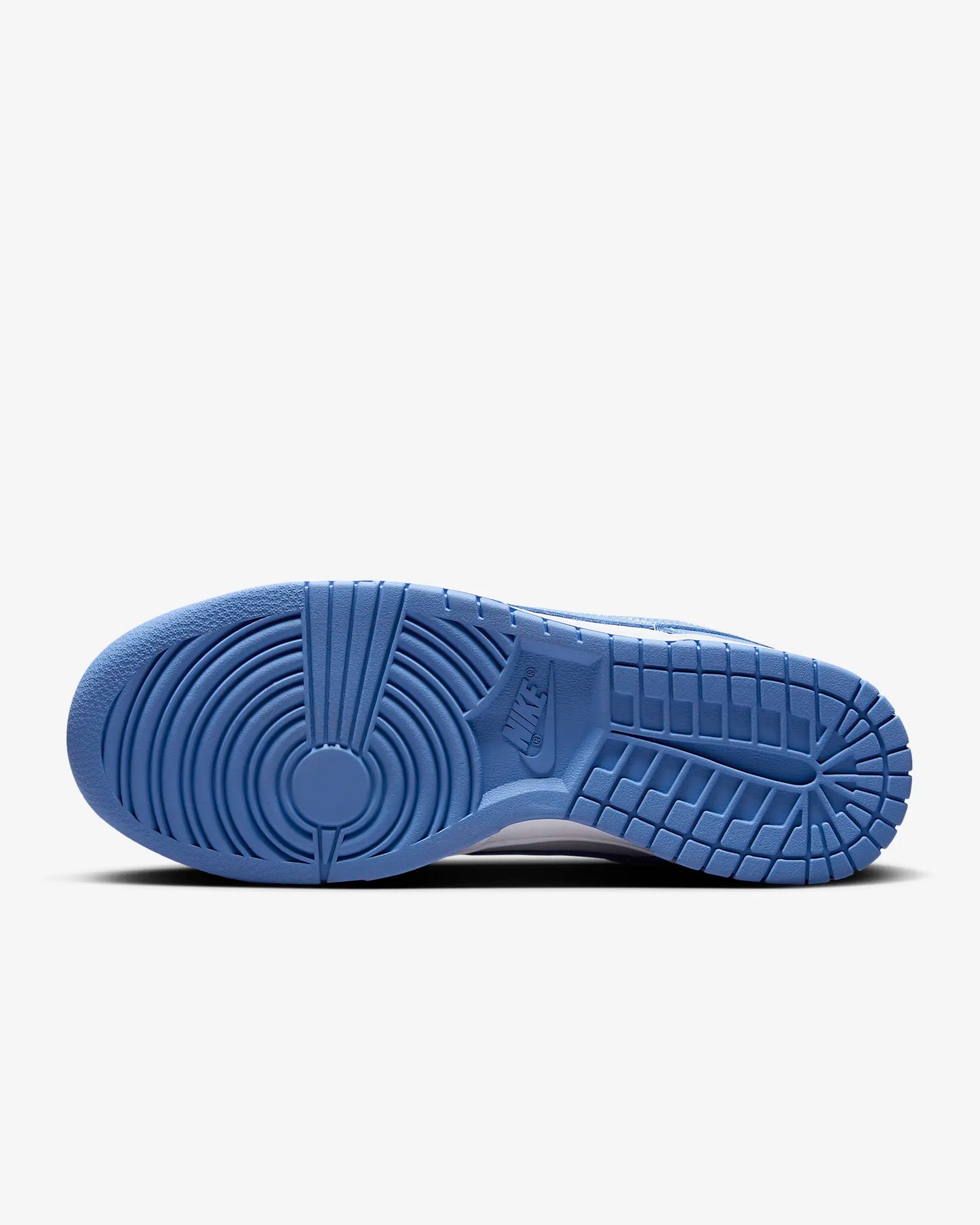 Nike Dunk Low Retro Blue