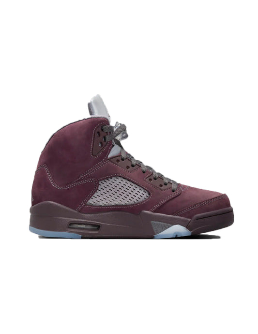 Air Jordan 5 Retro SE