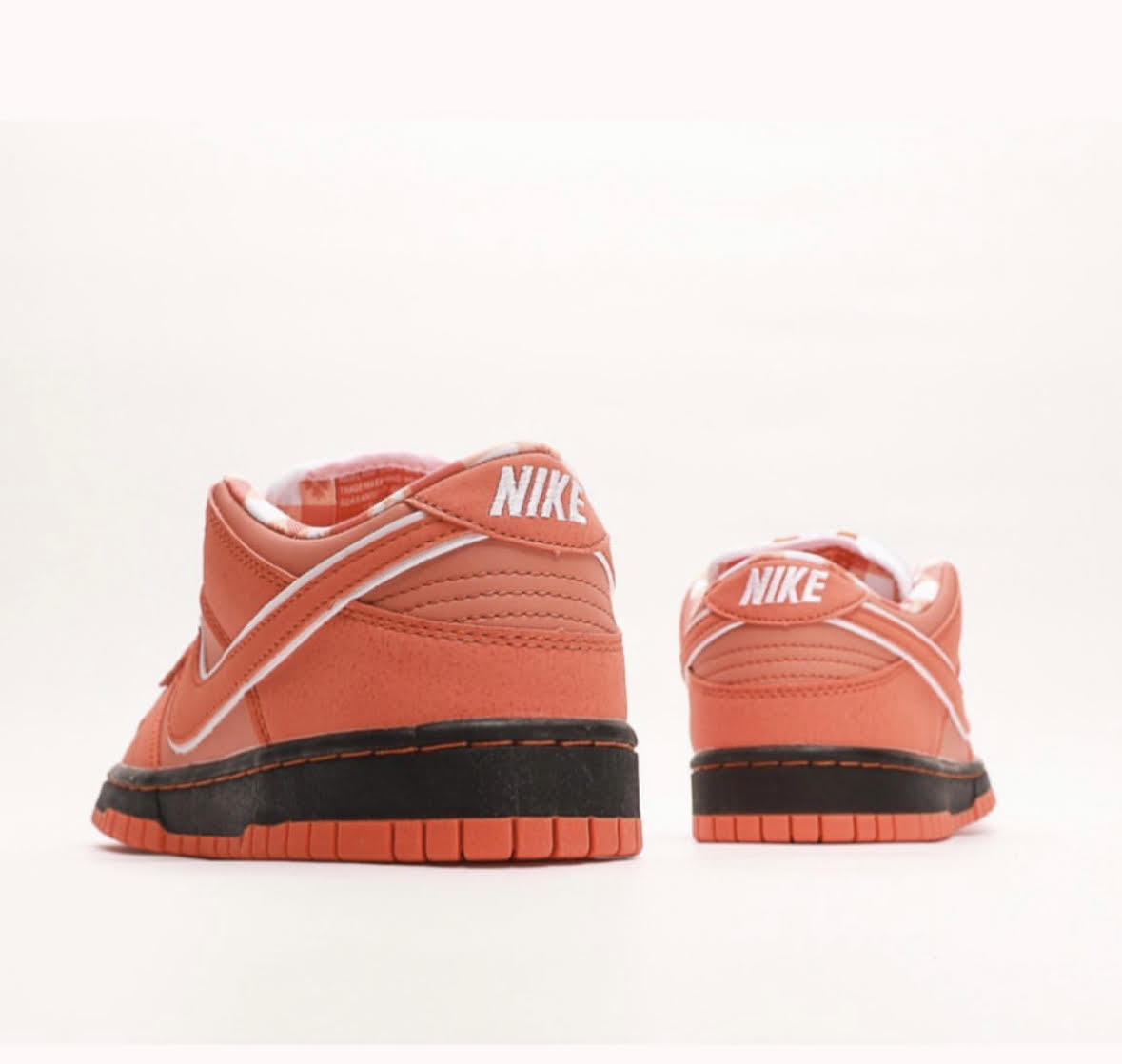 Concepts x Dunk Low SB Orange Lobster